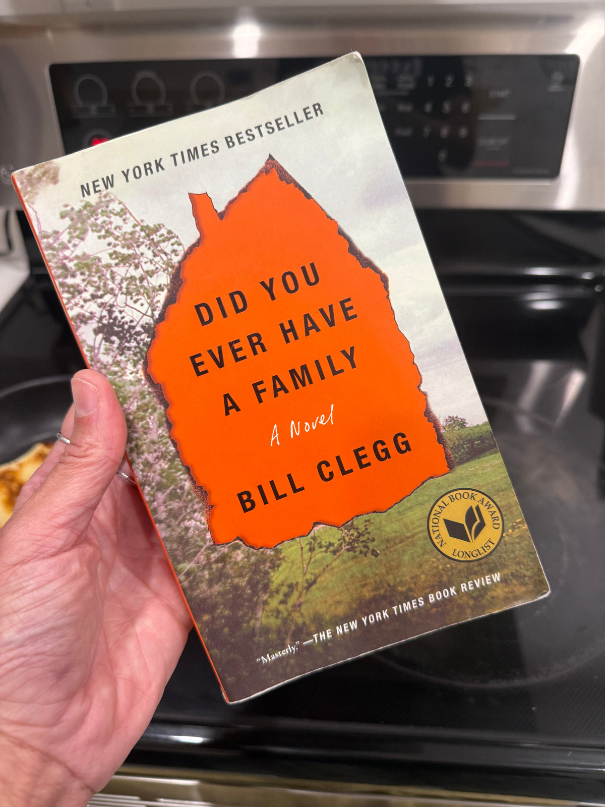 Book Notes: Did You Ever Have a Family